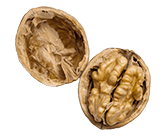 Wild Pecan Nuts